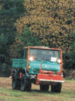 Tree Planter logger